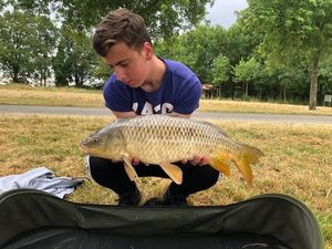 Common Carp