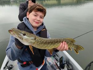 Northern Pike