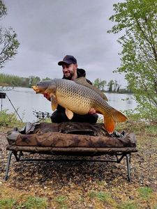 Common Carp