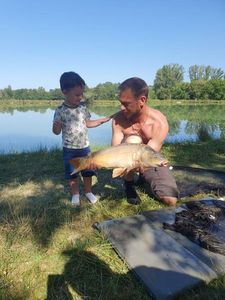 Mirror Carp