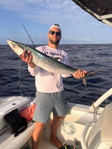 Wahoo
