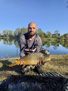 Mirror Carp