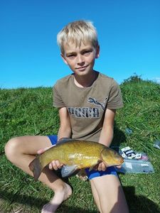 Tench