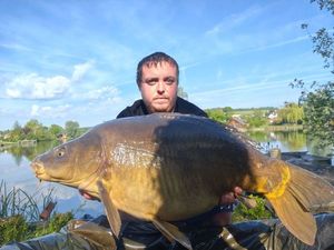 Mirror Carp
