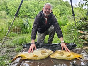 Mirror Carp