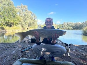 Grass Carp