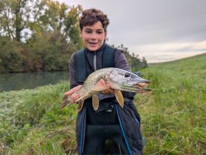Northern Pike