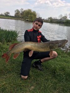Northern Pike