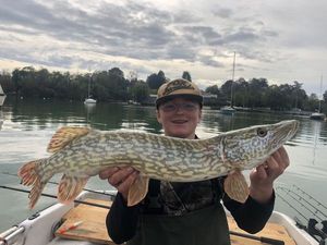 Northern Pike