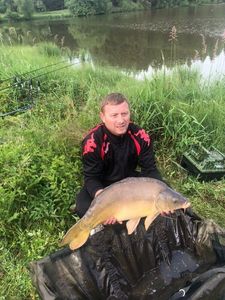 Mirror Carp