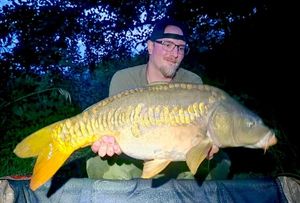 Mirror Carp