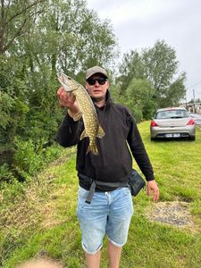 Northern Pike