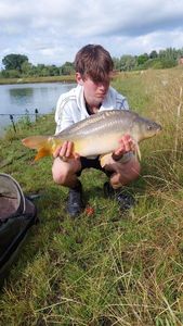 Mirror Carp