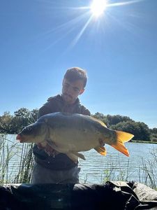 Mirror Carp