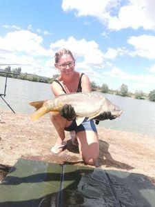 Mirror Carp