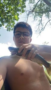 Rainbow Trout