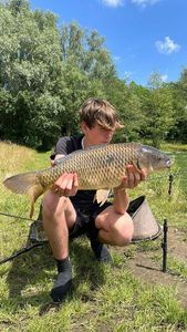Mirror Carp