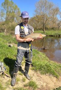 Barbel