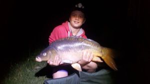 Mirror Carp