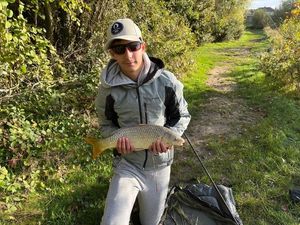 Common Carp