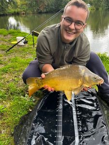 Mirror Carp