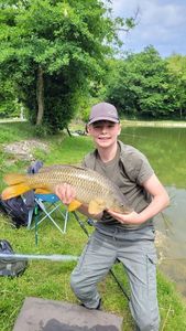 Common Carp