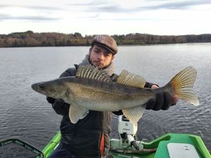 Zander