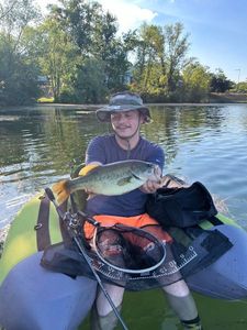 Largemouth Bass