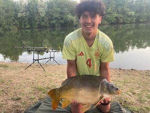 Mirror Carp