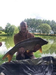 Common Carp