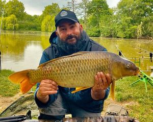 Common Carp
