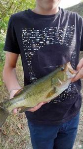Smallmouth Bass