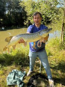 Northern Pike