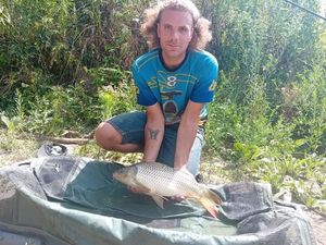 Common Carp