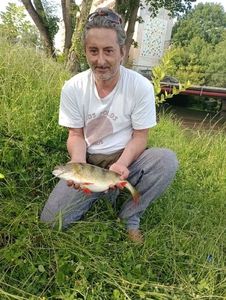 European Perch