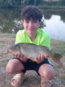Common Carp