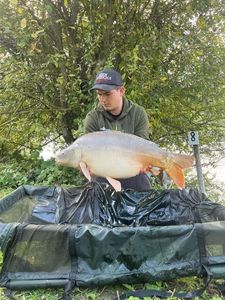Mirror Carp