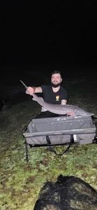 Sturgeon