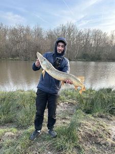 Northern Pike