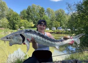 Sturgeon