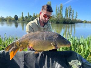 Mirror Carp