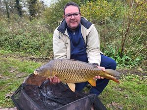 Common Carp