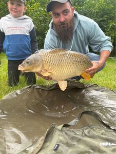 Common Carp
