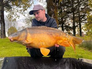 Mirror Carp