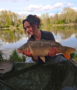 Mirror Carp