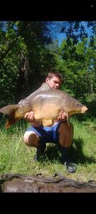 Mirror Carp