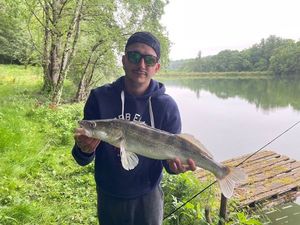 Zander