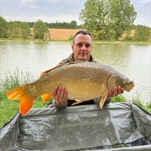 Mirror Carp