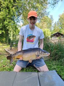 Mirror Carp