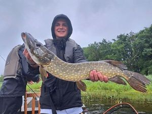 Northern Pike